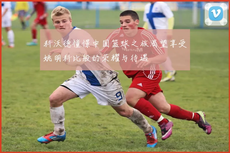 科沃德憧憬中国篮球之旅渴望享受姚明科比般的荣耀与待遇