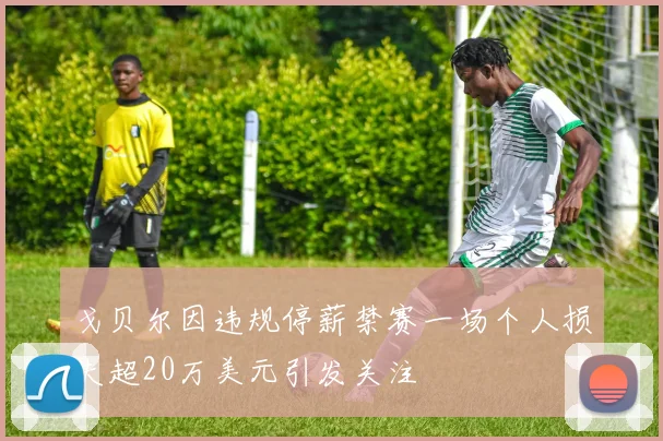 戈贝尔因违规停薪禁赛一场个人损失超20万美元引发关注
